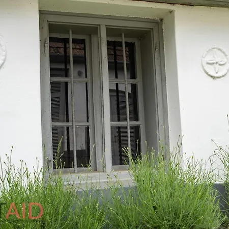 Harmony Hillside - Hostaid Apartment Mindszentkalla