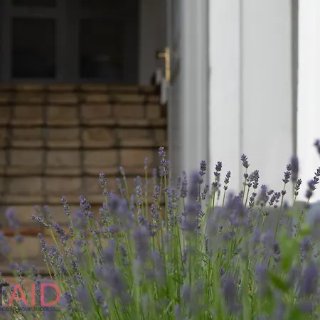 Apartamento Harmony Hillside - Hostaid *